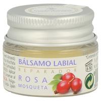 Bálsamo labial Rosa Mosqueta (5gr) ESENTIAL AROMS | F -  963122 | MUNDO ECOLÓGICO