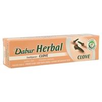 Dentífrico Ayurvédico con Clavo (100ml) DABUR HERBAL | F- 872015 | MUNDO ECOLÓGICO